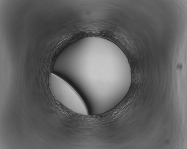 X0000097621297200802290811