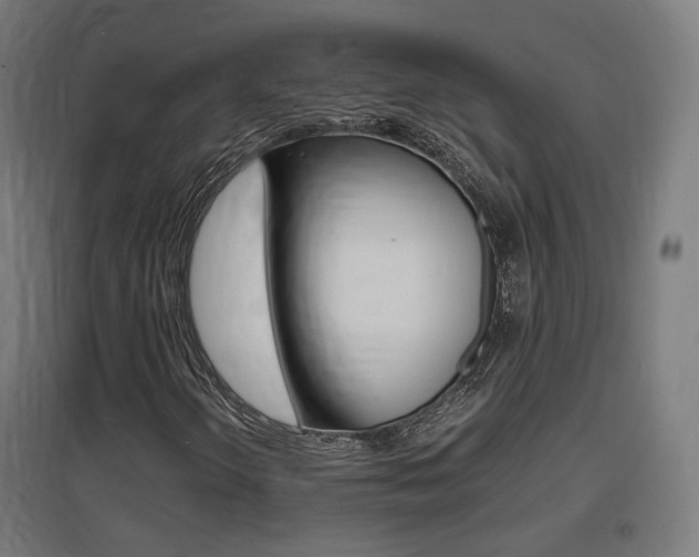X0000097621298200802290811