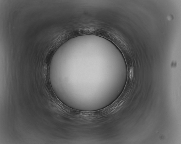 X0000097621299200802290811