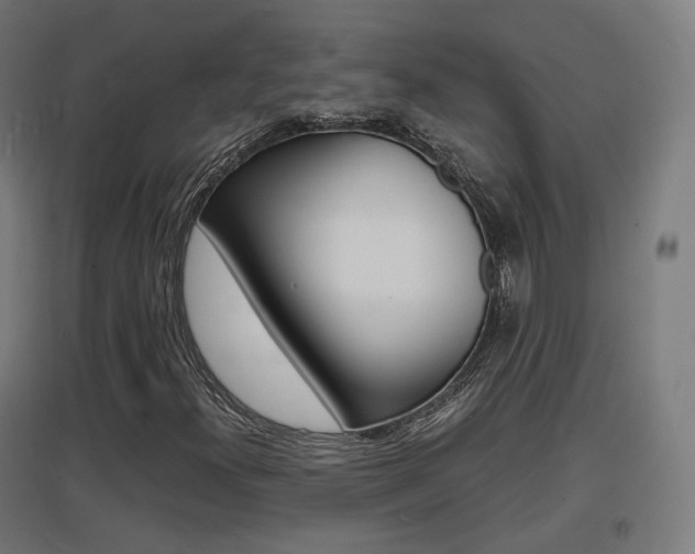 X0000097621300200802290811