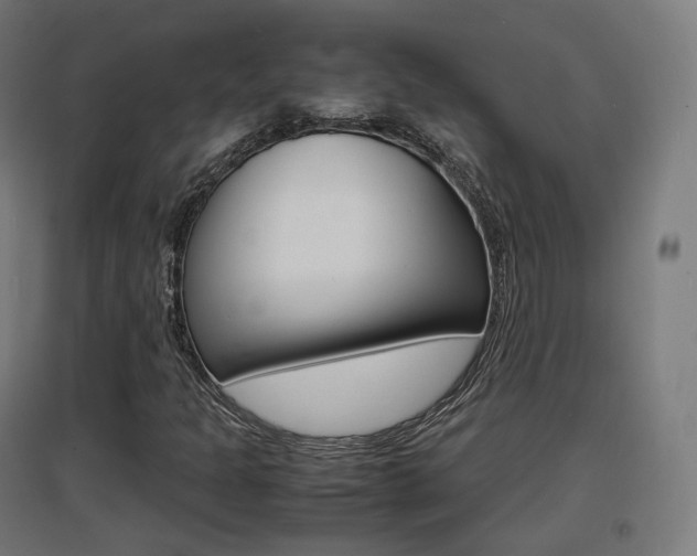 X0000097621301200802290811