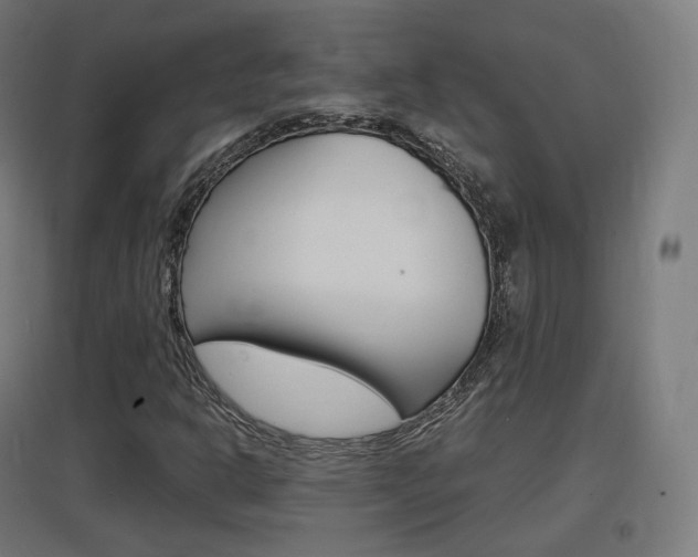 X0000097621302200802290811