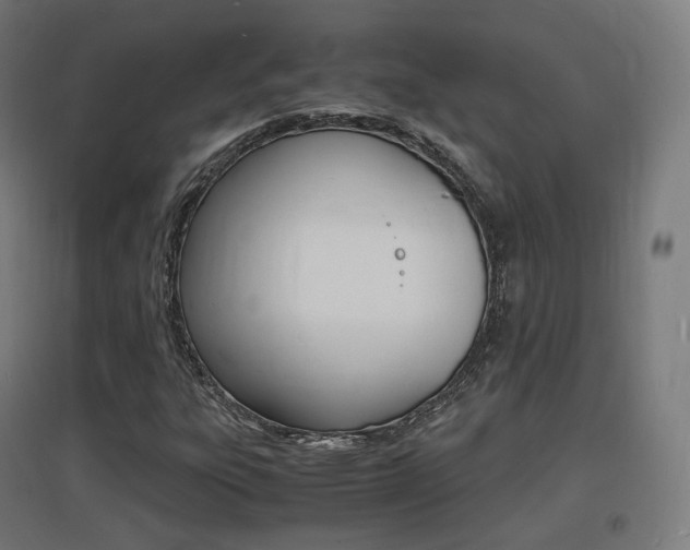 X0000097621303200802290811