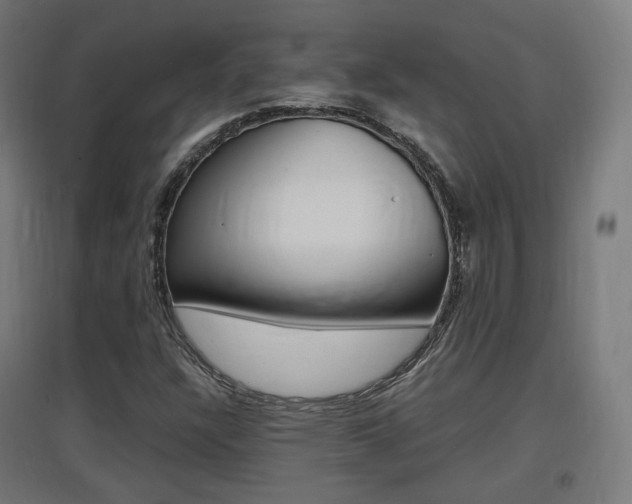 X0000097621304200802290811