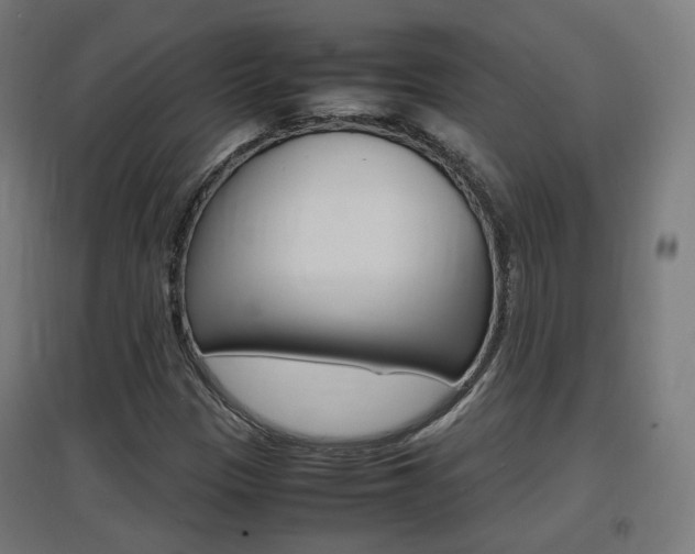 X0000097621305200802290811