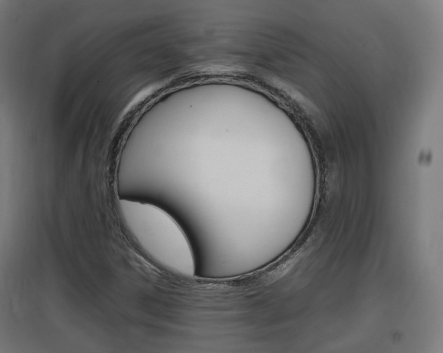 X0000097621306200802290811