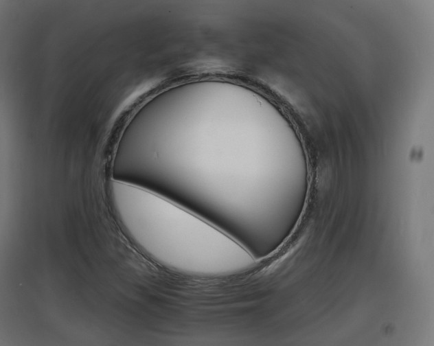 X0000097621309200802290811