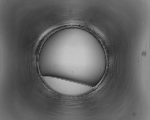 X0000097621310200802290811
