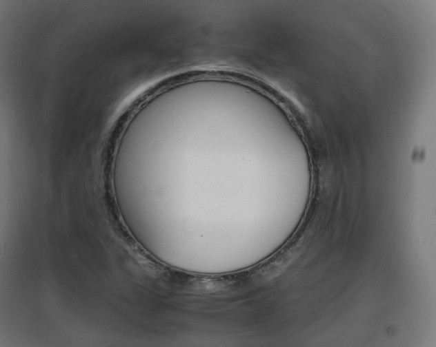 X0000097621311200802290811