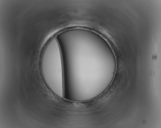 X0000097621312200802290811