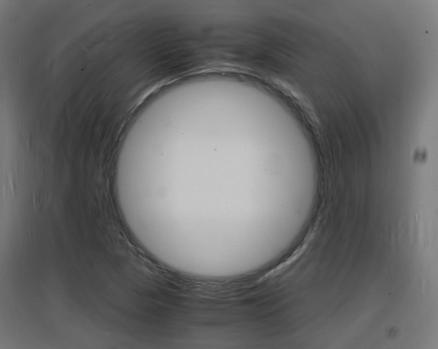 X0000097621313200802290811