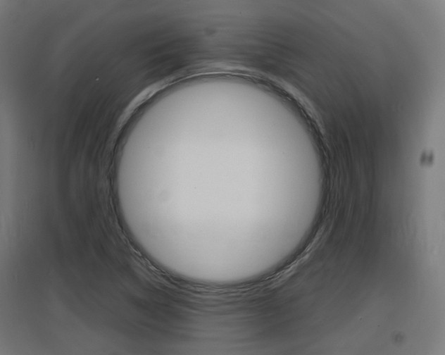 X0000097621314200802290811
