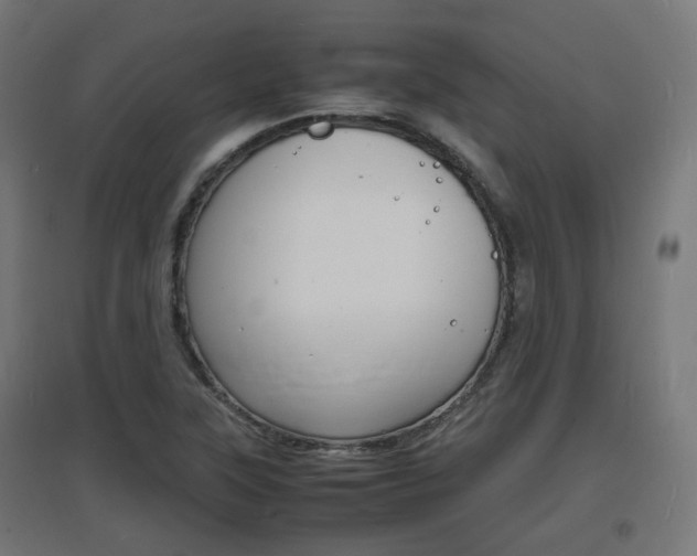 X0000097621315200802290811