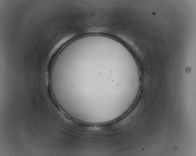 X0000097621317200802290811