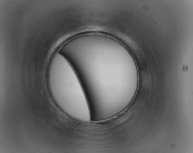 X0000097621318200802290811