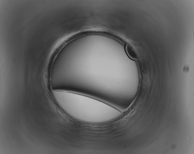 X0000097621319200802290811