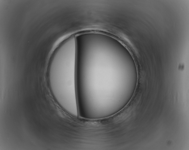 X0000097621320200802290811