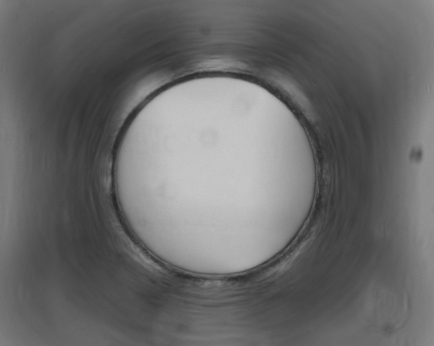X0000097621322200802290811