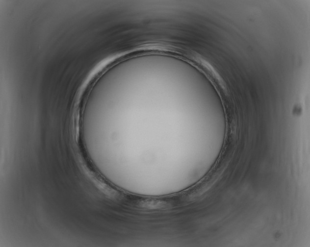 X0000097621323200802290811