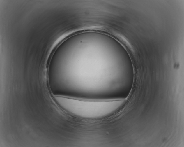 X0000097621324200802290811