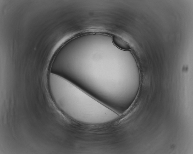 X0000097621325200802290811