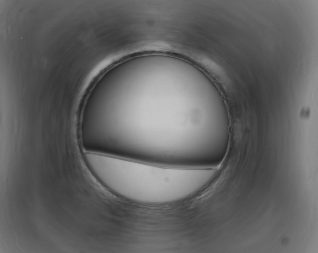 X0000097621326200802290811