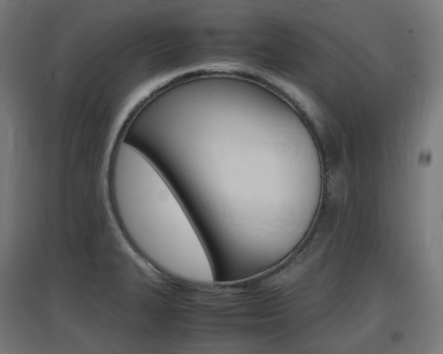 X0000097621327200802290811
