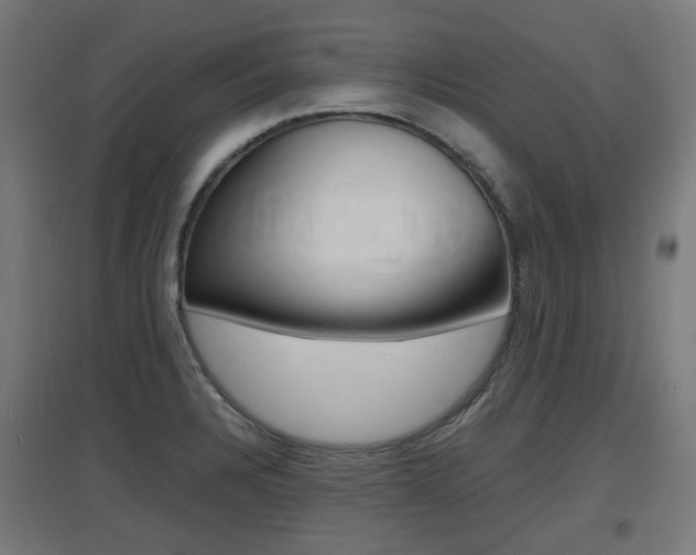 X0000097621328200802290811