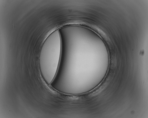 X0000097621329200802290811