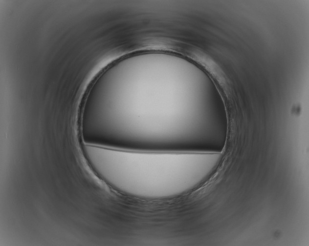 X0000097621331200802290811