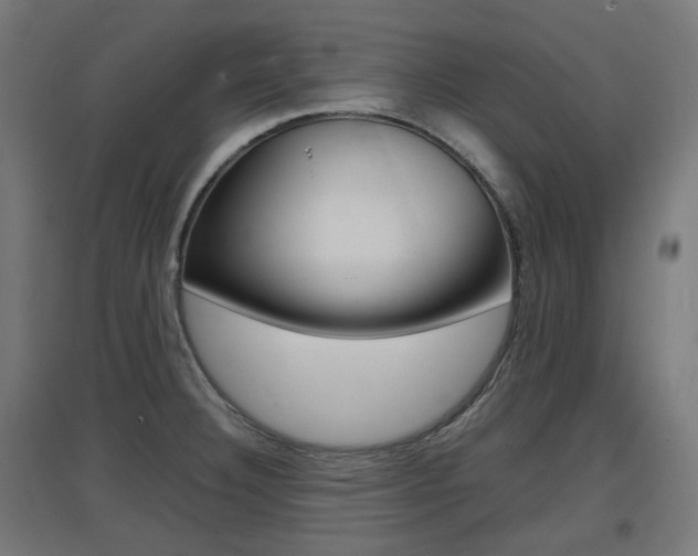 X0000097621332200802290811