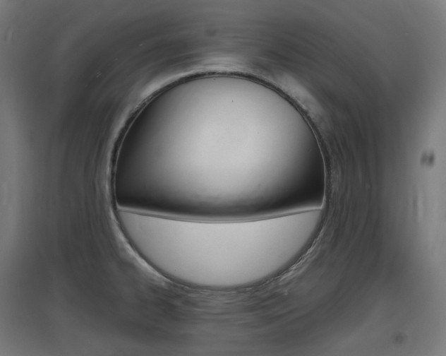 X0000097621334200802290811