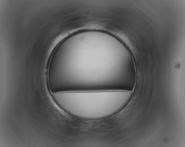 X0000097621335200802290811