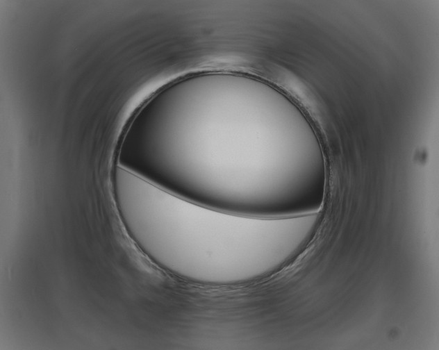 X0000097621336200802290811