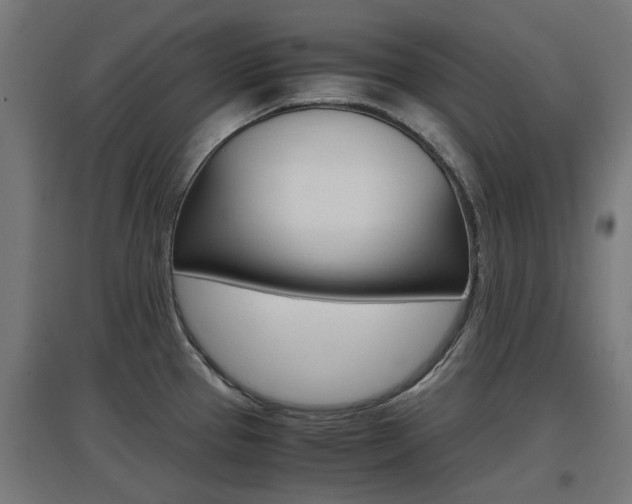 X0000097621337200802290811