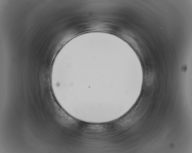 X0000097621338200802290811