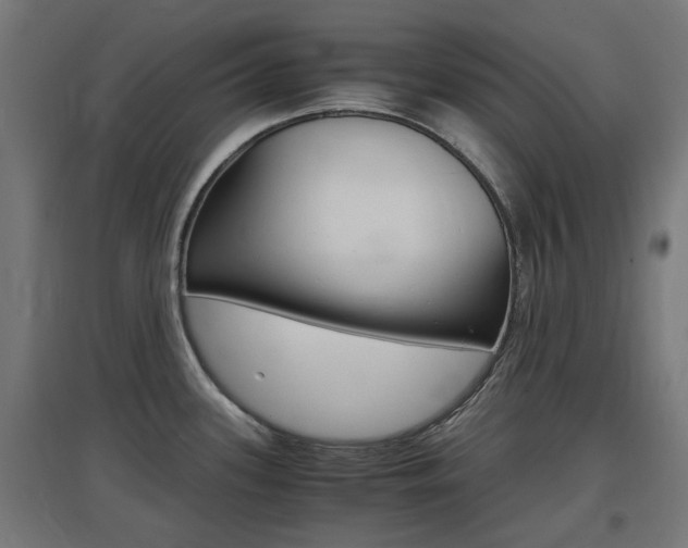 X0000097621339200802290811