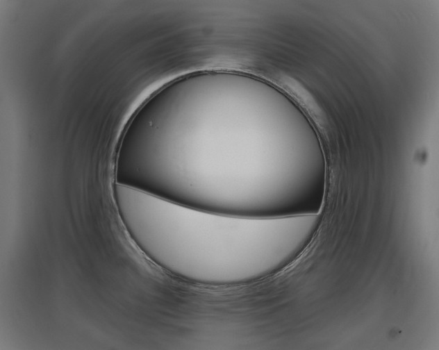 X0000097621340200802290811