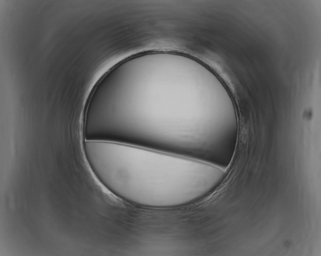 X0000097621343200802290811