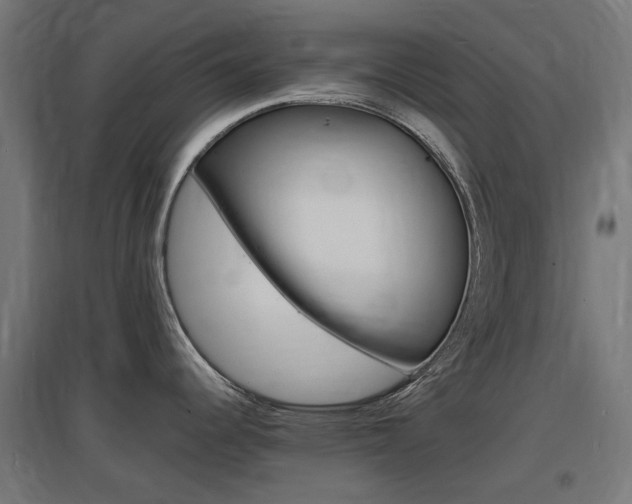 X0000097621344200802290811