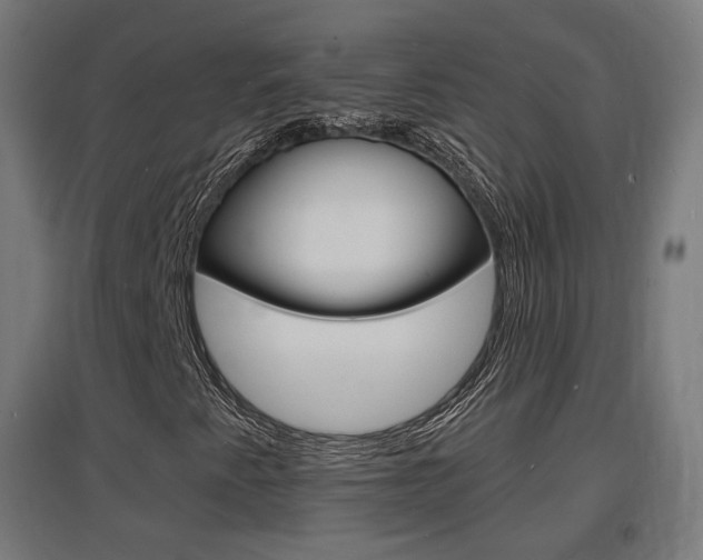 X0000097621345200802290811