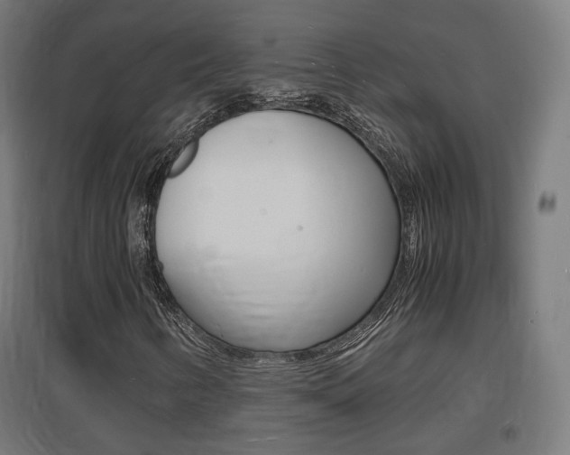 X0000097621346200802290811