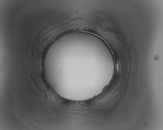 X0000097621347200802290811