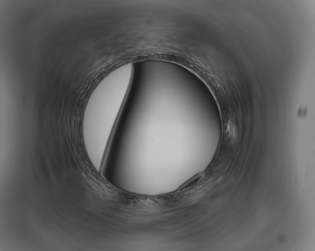 X0000097621348200802290810