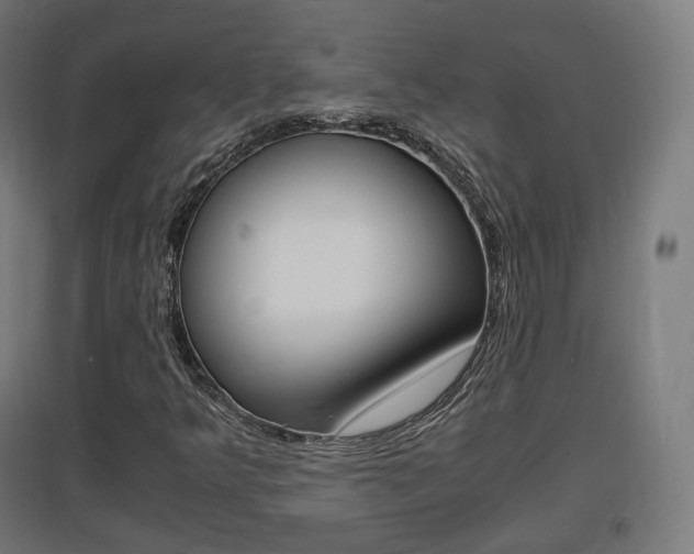 X0000097621349200802290810