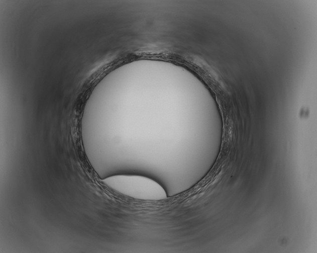 X0000097621350200802290810