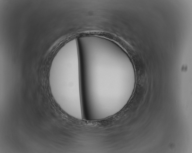 X0000097621351200802290810