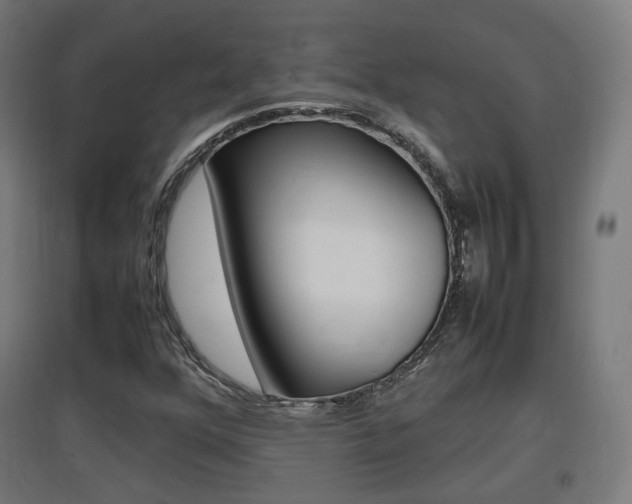 X0000097621352200802290810