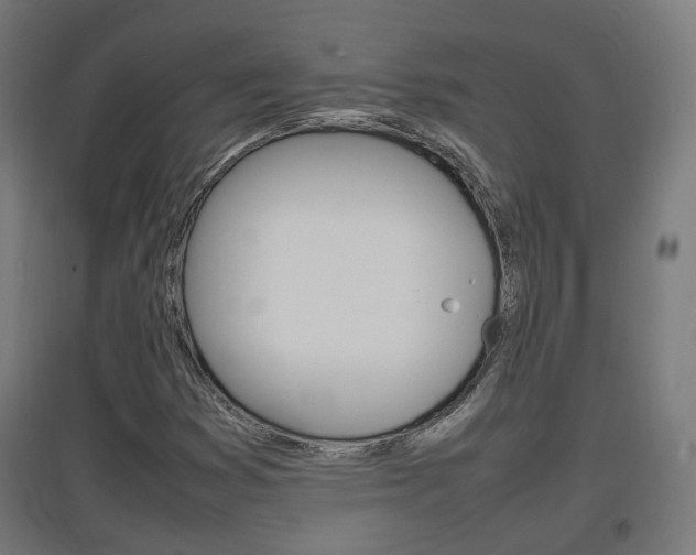 X0000097621353200802290810