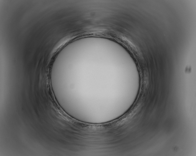 X0000097621354200802290810